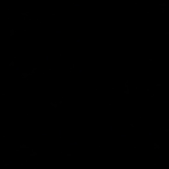 Meet your Posher, Hannah - Picture 1 of 1